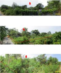 ที่ดินพร้อมสิ่งปลูกสร้างหลุดจำนอง ธ.ธนาคารกรุงไทย ราชบุรี บ้านโป่ง ปากแรต