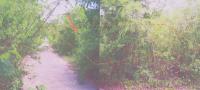 ที่ดินหลุดจำนอง ธ.ธนาคารอาคารสงเคราะห์ ราชบุรี สวนผึ้ง หนองพันจันทร์