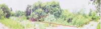 ที่ดินหลุดจำนอง ธ.ธนาคารอาคารสงเคราะห์ ราชบุรี จอมบึง รางบัว