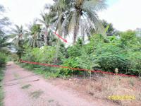 ที่ดินว่างเปล่าหลุดจำนอง ธ.ธนาคารกสิกรไทย ราชบุรี ดำเนินสะดวก ดอนไผ่