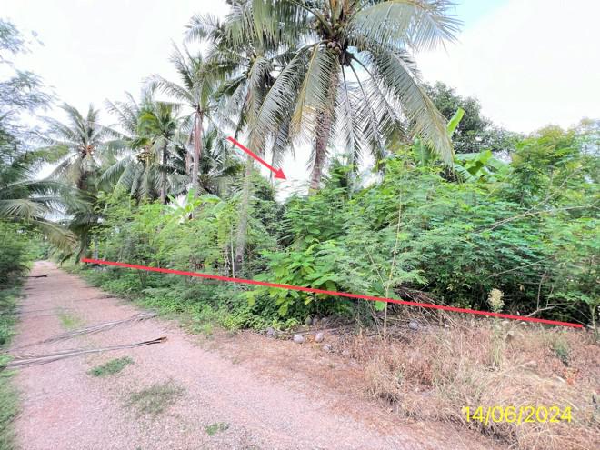 ที่ดินว่างเปล่าหลุดจำนอง ธ.ธนาคารกสิกรไทย ราชบุรี ดำเนินสะดวก ดอนไผ่