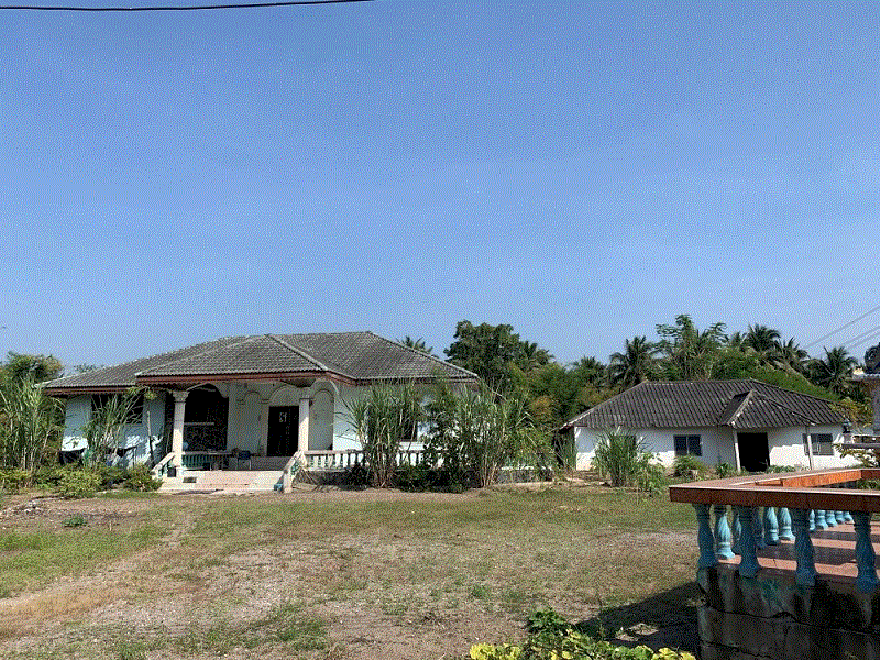 โรงงานหลุดจำนอง ธ.ธนาคารกรุงเทพ ราชบุรี เมืองราชบุรี บางป่า